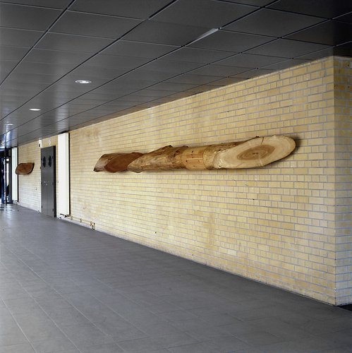 Bruno Dumont, 1997, École Centrale de Lille, pièce murale réalisée pour le couloir d'entrée, châtaignier, merisier, frêne, sapin